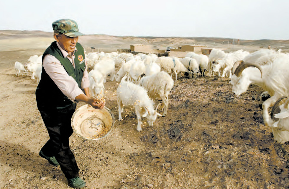 The Price We Pay for China's Boom