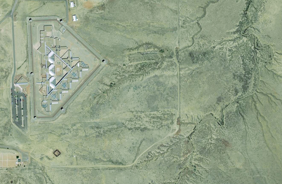 National Livingston Winner Story